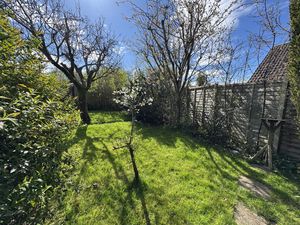 Across garden at the bottom- click for photo gallery